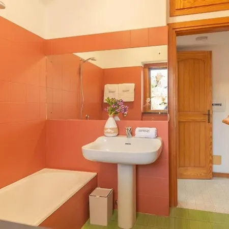 Gerbera - 250m Dal Mare Portobello