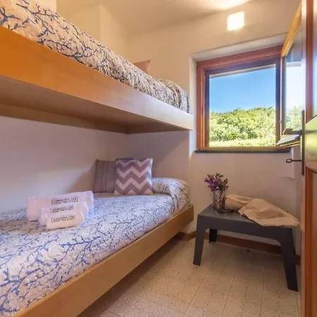 Gerbera - 250m Dal Mare Portobello